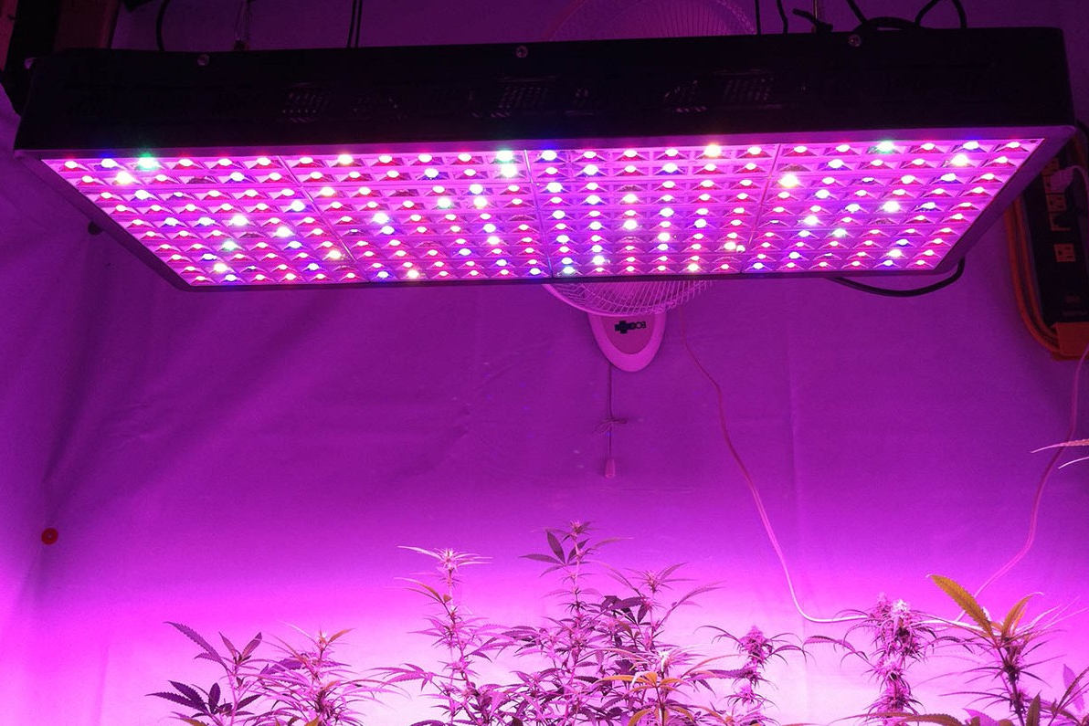 led grow light distance seedlings