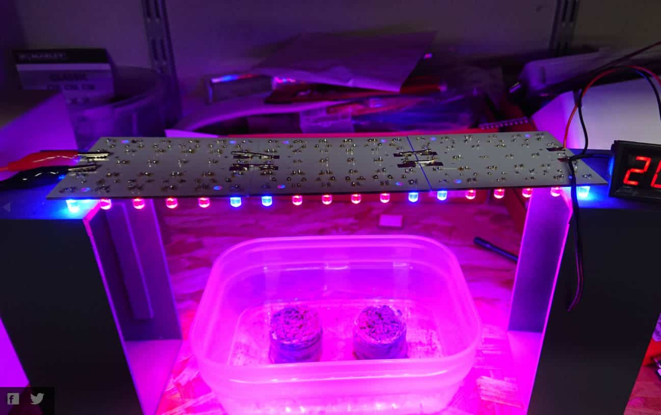 how to make led grow lights for indoor plants